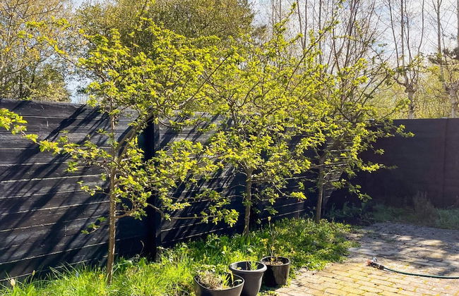 7 Person Holiday Home in Sjaellands Odde - Foto 21