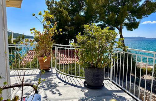 Perla & Palma - Foto 15