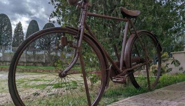 Agriturismo Boschetto - Foto 2, Garden, Garden view