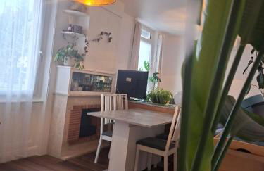 Hôte Stéphanois &parking - Foto 3