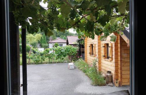 Lubuskie jezioro - Foto 8