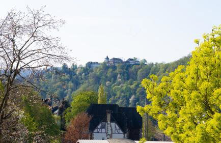 Ferienwohnungen Moselpanorama und Moselblick - Foto 62