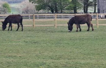 Greystones nawab sleep 6 C buxton in peak park - Foto 9