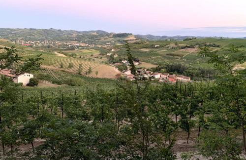 Apart-Agriturismo "La Colomba" Nizza Monferrato - Foto 28