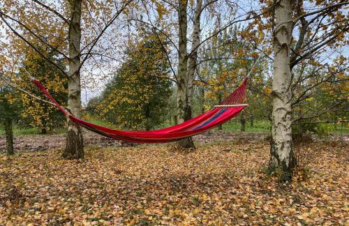 Harvest Moon Cottage - Photo 14