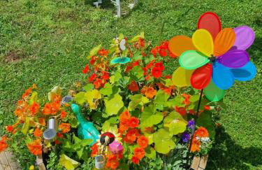 Apartments Luka - Foto 24