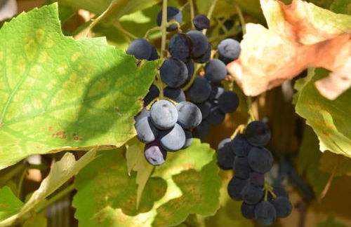 ENCANTO Apartment - Foto 41