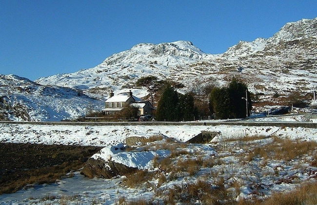 Bryn Elltyd Eco Self-Catering - Foto 19