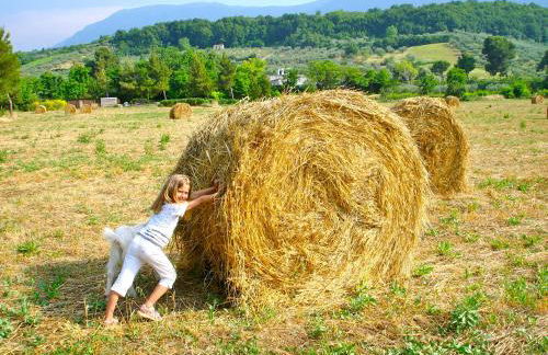 Agriturismo "Borgo Madonna degli Angeli" - charming cottages in the gardens ! - Foto 44