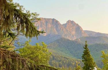 Jaśkowe Marzenie - Apartament z widokiem na Tatry w centrum Zakopanego - Foto 41