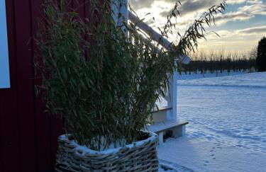 Muggelhuus das Ferienhaus im Alten Land / Pflaumenbaum - Photo 58