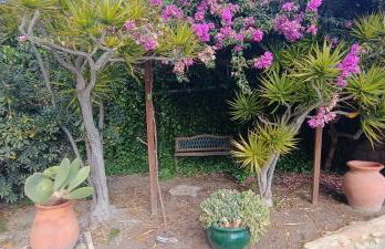 Blue beach studio La Caleta - Photo 31