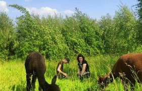 Agroturystyka Zagroda Alpaka - Foto 68