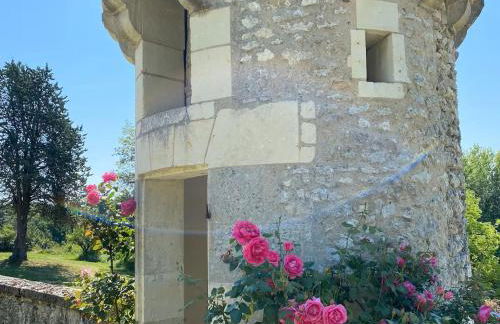 Charmant gîte en Berry avec terrasse et bain nordique - FR-1-591-730 - Foto 7