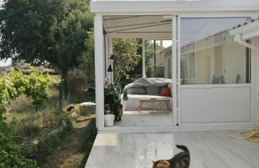 Gîte Bouconne Pibrac - Foto 28