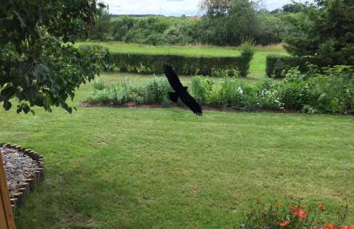 Haus Masur - Photo 55