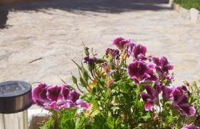 Casa rural los 7 pinos de Gredos - Foto 77