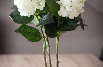 "Le 35" Maison rénovée avec jardin proche centre - Foto 34