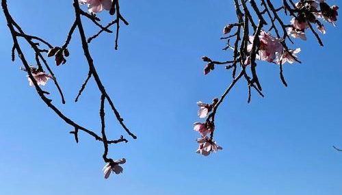 Heritage Apartment Nestled Between Sea and Hills - Foto 2