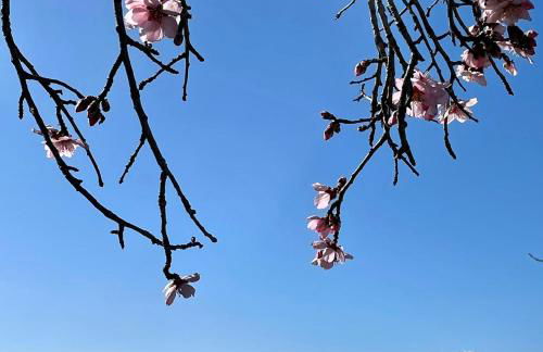 Heritage Apartment Nestled Between Sea and Hills - Foto 2