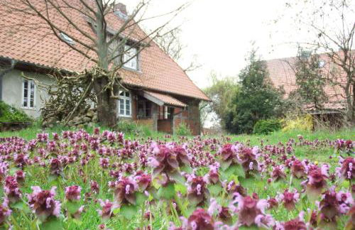 Ferienhof Rauchhaus - Foto 40