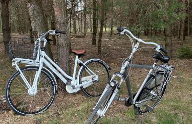 Baciki 61- domek przy lesie - Foto 28