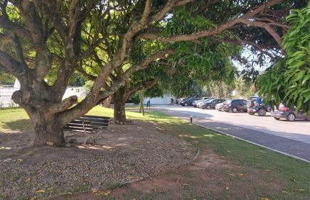 Apto 2 quartos completo em Condomínio Clube a 350 metros da praia do Campeche - Photo 28