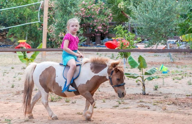 Stone Village - Photo 26