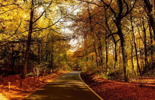 The Organic Cotswolds Shepherds Hut - Photo 54