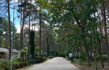 Domek na Morenowym Wzgórzu, nad jeziorem - Foto 44