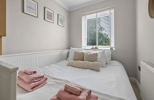 The Squirrels - Foto 9