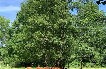 Cosy Concept - nahe Hamburg - Foto 34