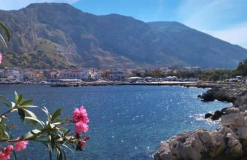 Ciuri Ciuri - Foto 34