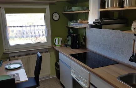 Seehund-Lilly - Foto 8