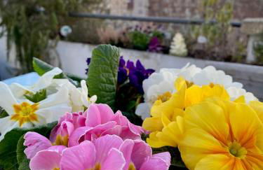 Attico&Nuvole - Foto 20