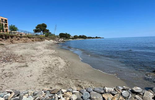 Appartement n 79 Moriani plage - Foto 69