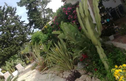 Casa Vacanze Verdemare con Piscina - Foto 72