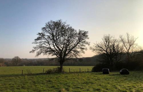 The Cowshed - Foto 20