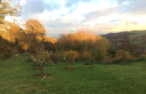 Luxury Welsh wooden cabin - Foto 47