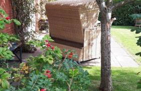 Apfelgarten - Foto 24