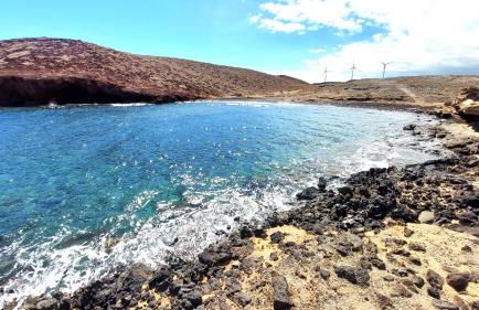 Mucha Vida - Foto 28