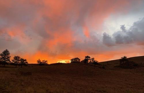 Buffalo Cabin - Foto 31