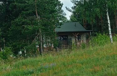 Sosnowy zakątek odpocznij tu - Foto 37