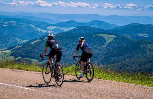 Ferienwohnung Sohnrey für 4 Gäste, Titisee-Neustadt - Foto 21