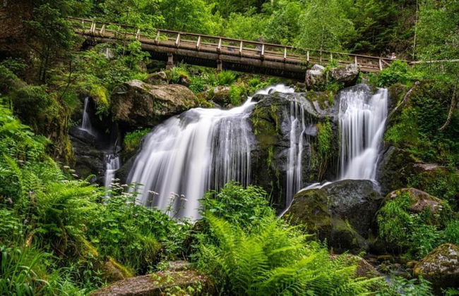 Ferienhaus in Brigach - Foto 35