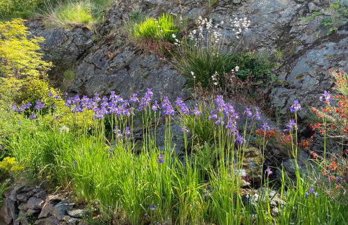 The Moorings - Foto 23