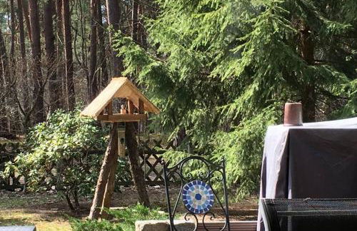 Ferienhaus Wald und Seeidylle, nahe Badesee, Spreewald, Berlin - Foto 6