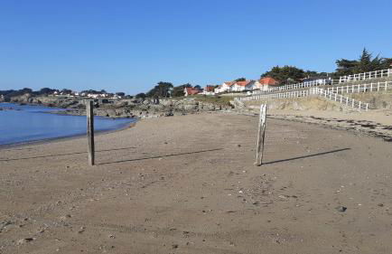 Les Voiles du Clipper T2 - Foto 15