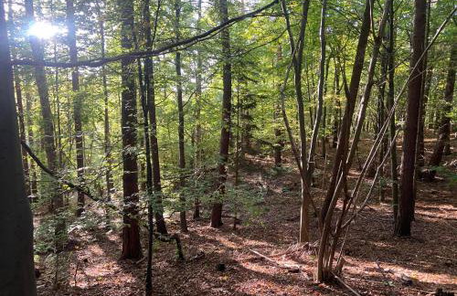 Feel-Harmonia w Nowym Kawkowie - Foto 16