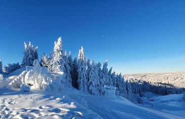 Haus Schneider - Photo 12